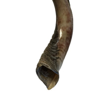 Load image into Gallery viewer, 32&quot; - 35&quot; AUTHENTIC KOSHER HALF POLISHED KUDU HORN SHOFAR - FROM ISRAEL