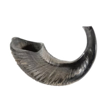 Load image into Gallery viewer, SMALL AUTHENTIC KOSHER NATURAL RAM&#39;S HORN SHOFAR - FROM ISRAEL